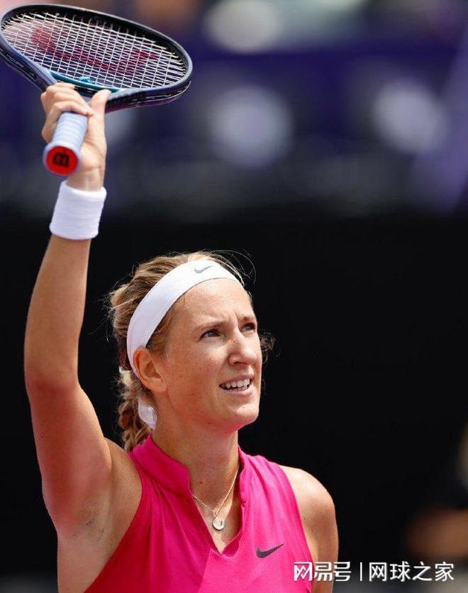 都有极佳的 都有极佳的